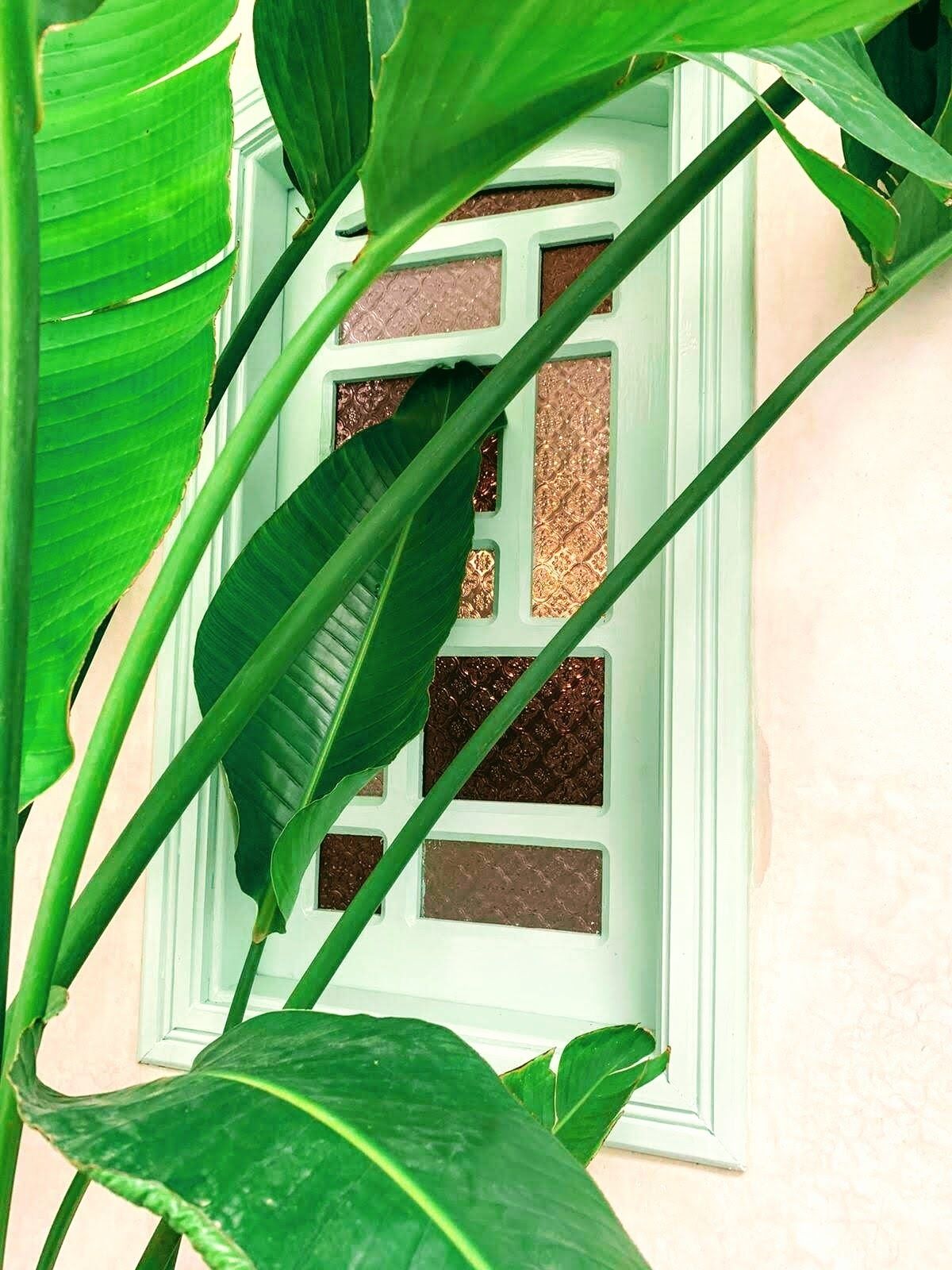 Une fenêtre ornée d’un cadre décoratif, donnant sur l’intérieur d’un bâtiment.