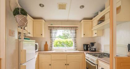 Mobile Home 'Mobilhome Mh287 La Tremblade' avec piscine partagée, terrasse privée et climatisation