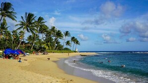 Una playa con palmeras, una orilla arenosa y gente nadando en el agua.