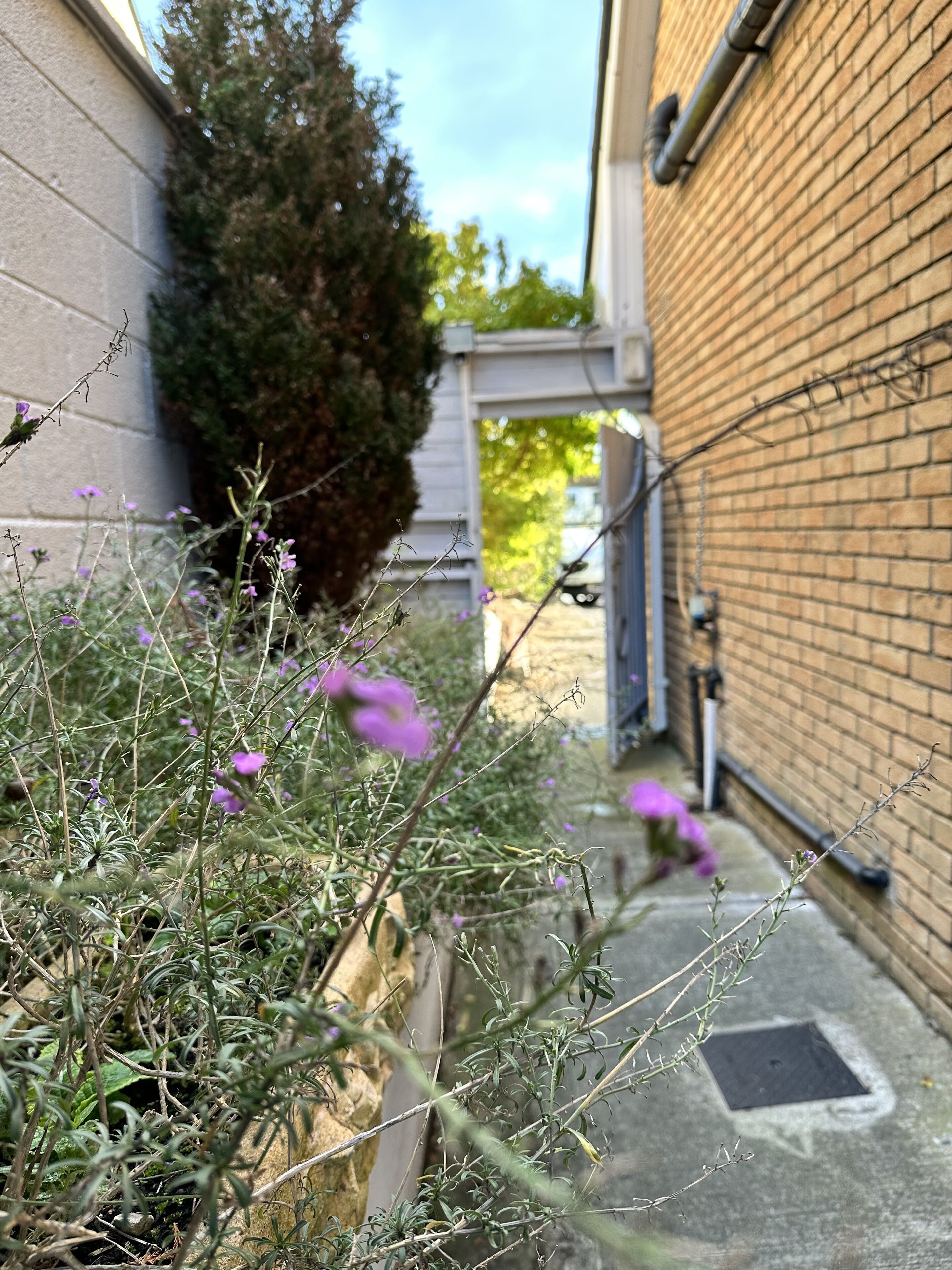 Photo - Malahide Guest Rooms