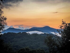 Miscellaneous - Charming Bear: Secluded Mountain Cabin w/ Firepit, Views, 2 Living Areas & Pets! (Hiawassee)