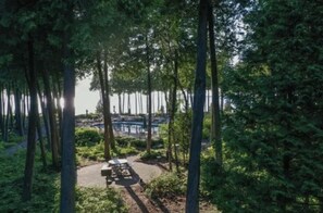 Terrein van de accommodatie