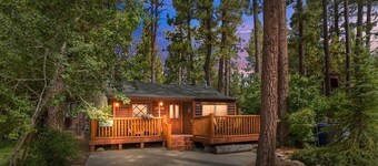 Little Bear Hug - Pet Friendly, Fireplace, Deck, Barbecue