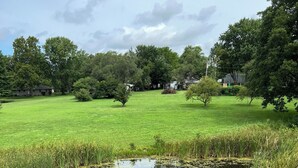 A grassy field with a small pond and trees in the background.