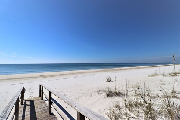 بالقرب من الشاطئ