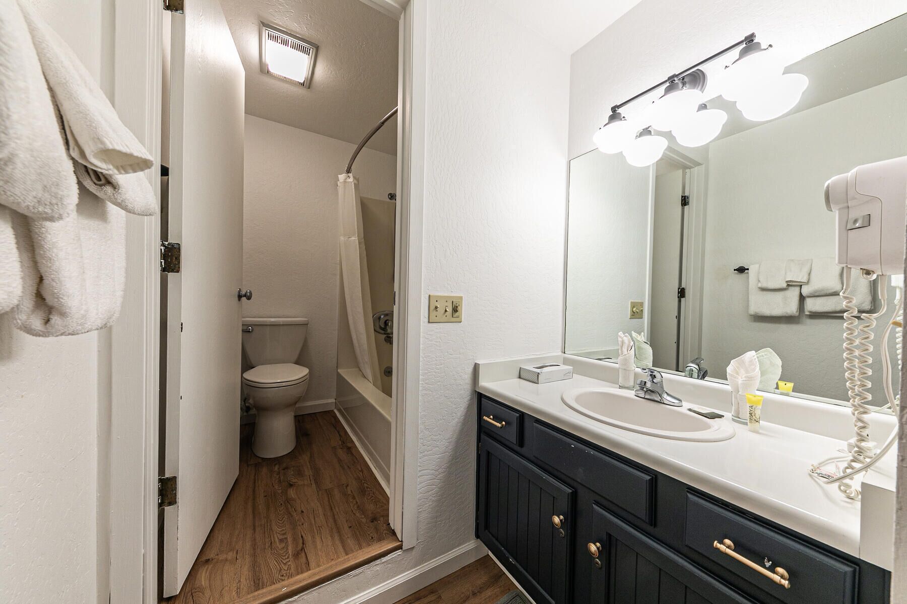 A bathroom with a white toilet, a shower, a vanity with a mirror, and a hairdryer.