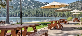 Modern Studio Deluxe #231 at Donner Lake Village