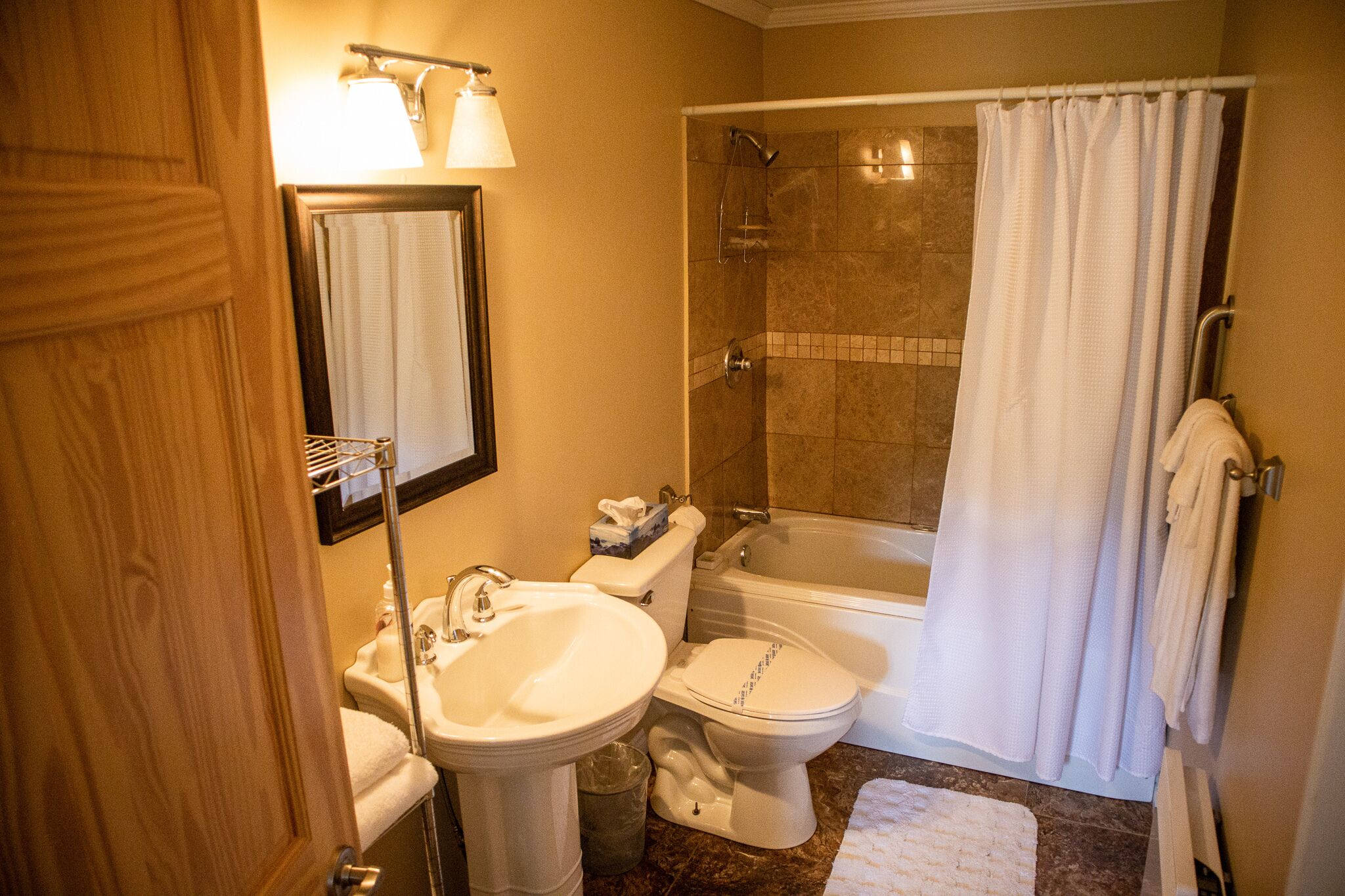 Hair dryer, towels, soap, shampoo