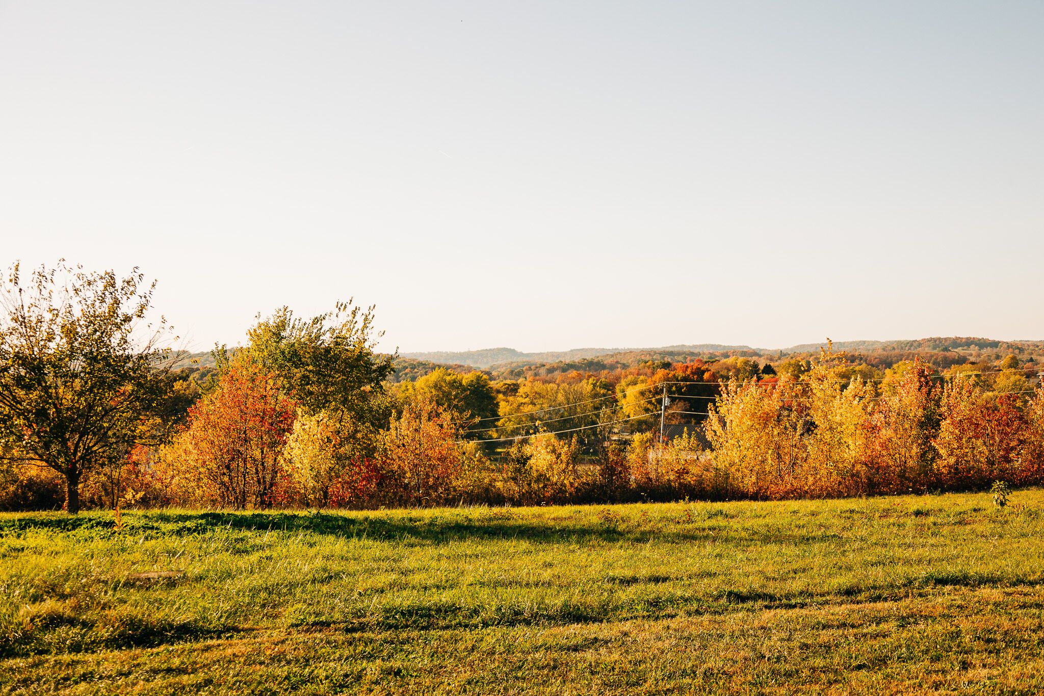 A field with autumn-colored trees and a distant view of hills.