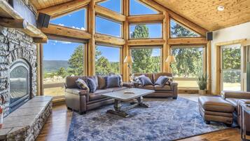 House | Living area | Fireplace