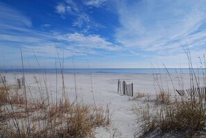 Nära stranden