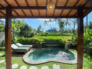 Pool - Rice Field View Private Pool Villa in Ubud  (Bali)