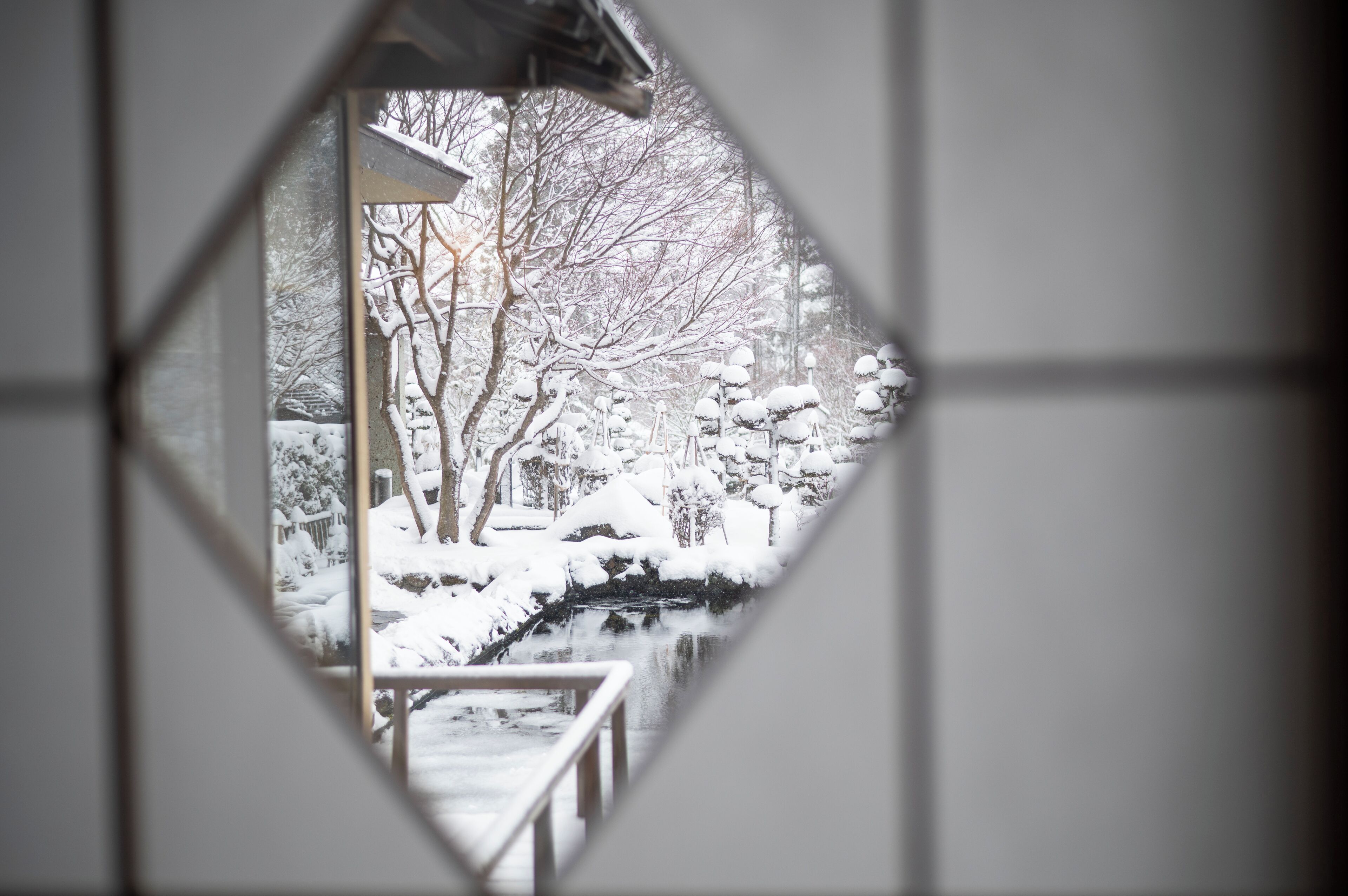 尊荣套房, 无烟房, 花园景观 | 花园景观