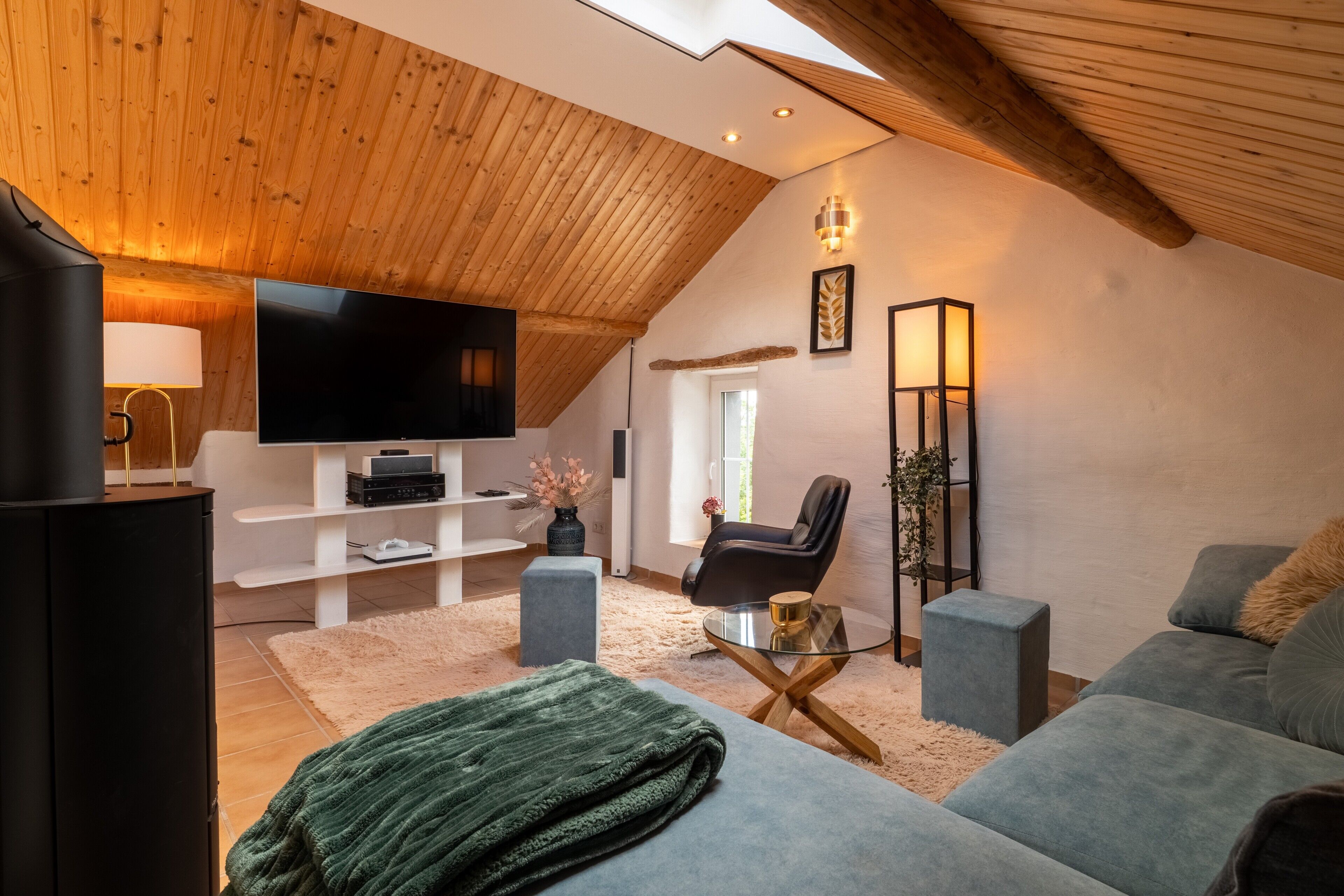 Televisor, llar de foc, videojocs i reproductor de DVD 