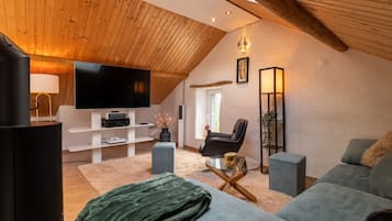 Televisor, llar de foc, videojocs i reproductor de DVD