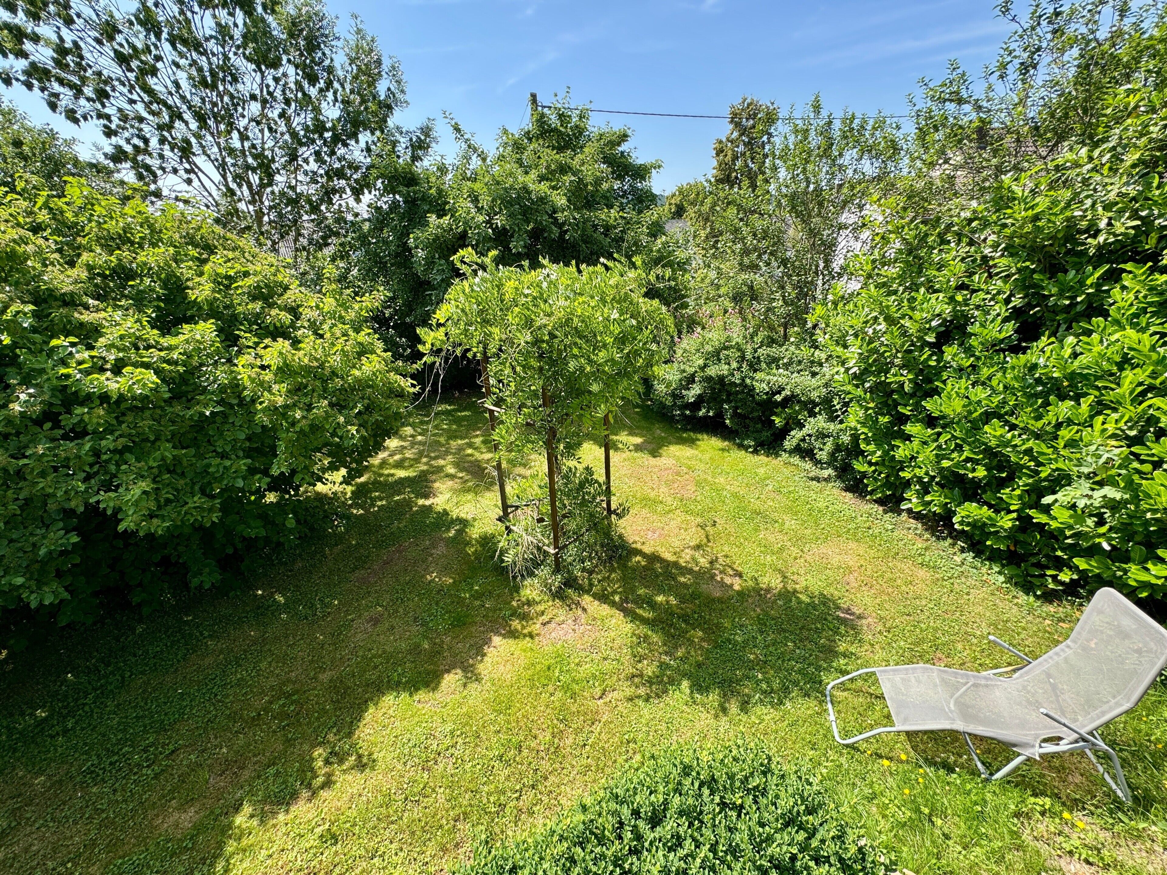 Un giardino con prato, un piccolo albero e una sedia in metallo.
