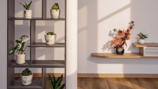 A modern interior with a tall, dark grey shelving unit filled with various potted plants. - KLY HOTEL (Hue)