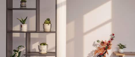 럭셔리 공용 도미토리 | 무료 미니바 품목, 책상, 무료 WiFi, 침대 시트