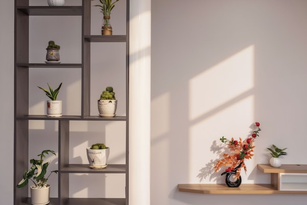 Luxury Shared Dormitory | Free minibar items, desk, free WiFi, bed sheets