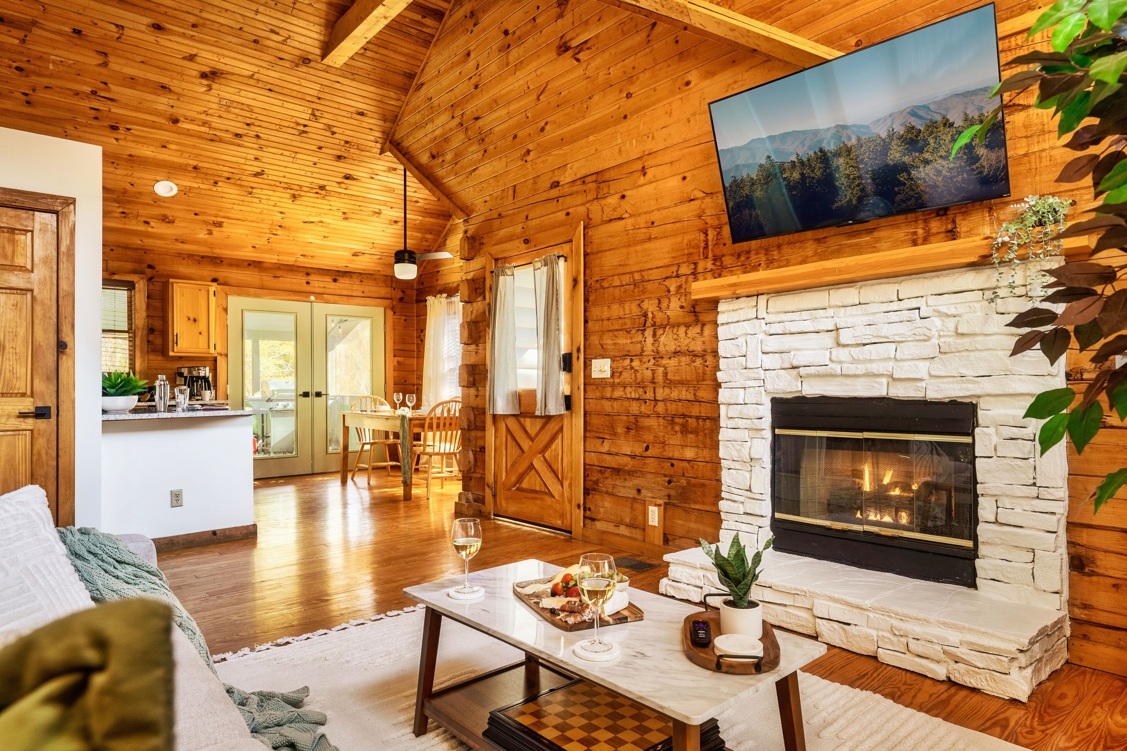 Smart TV, fireplace, books, computer monitors