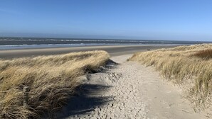 A sandy beach path with dunes, leading to the ocean.