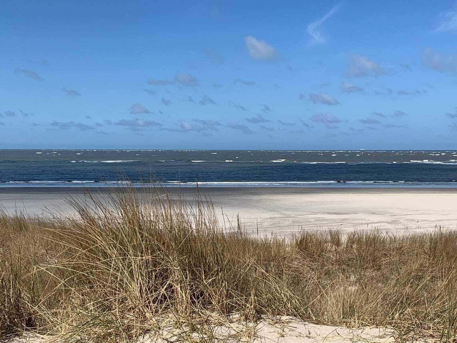 On the beach, white sand