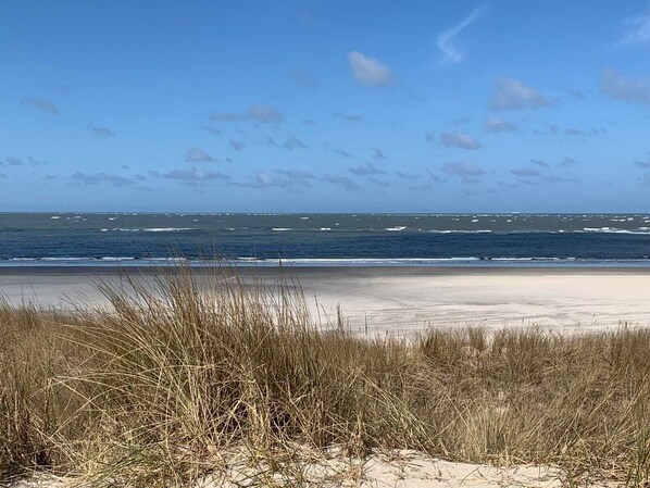 A beach with sand and sparse grass in the foreground, leading to the ocean with waves.