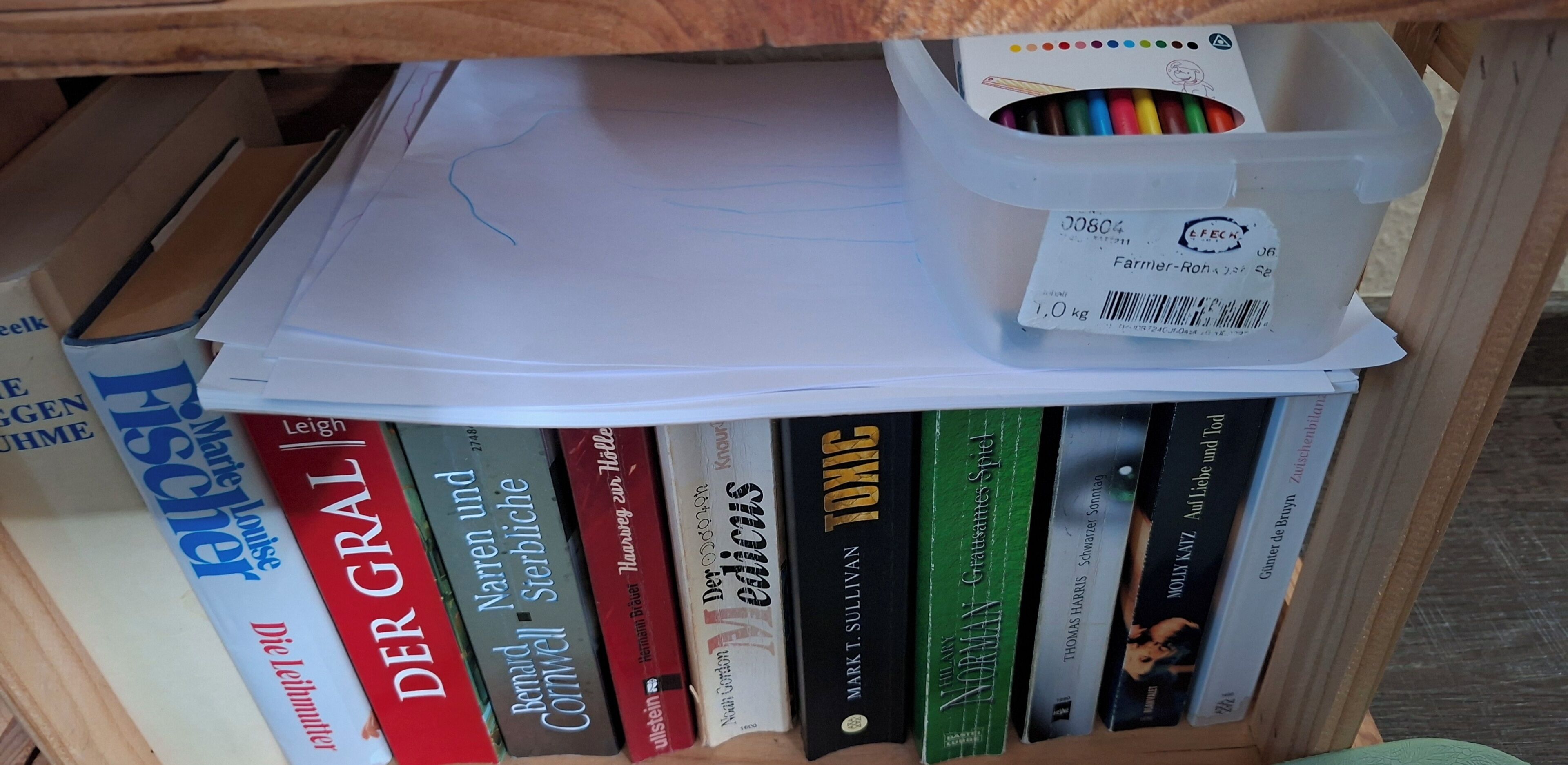 Uma estante com vários livros e um recipiente de plástico com lápis de cor.