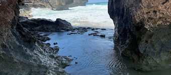 Immergez-vous sur la côte ouest de Porto Rico à la maison d'hôtes Islabella