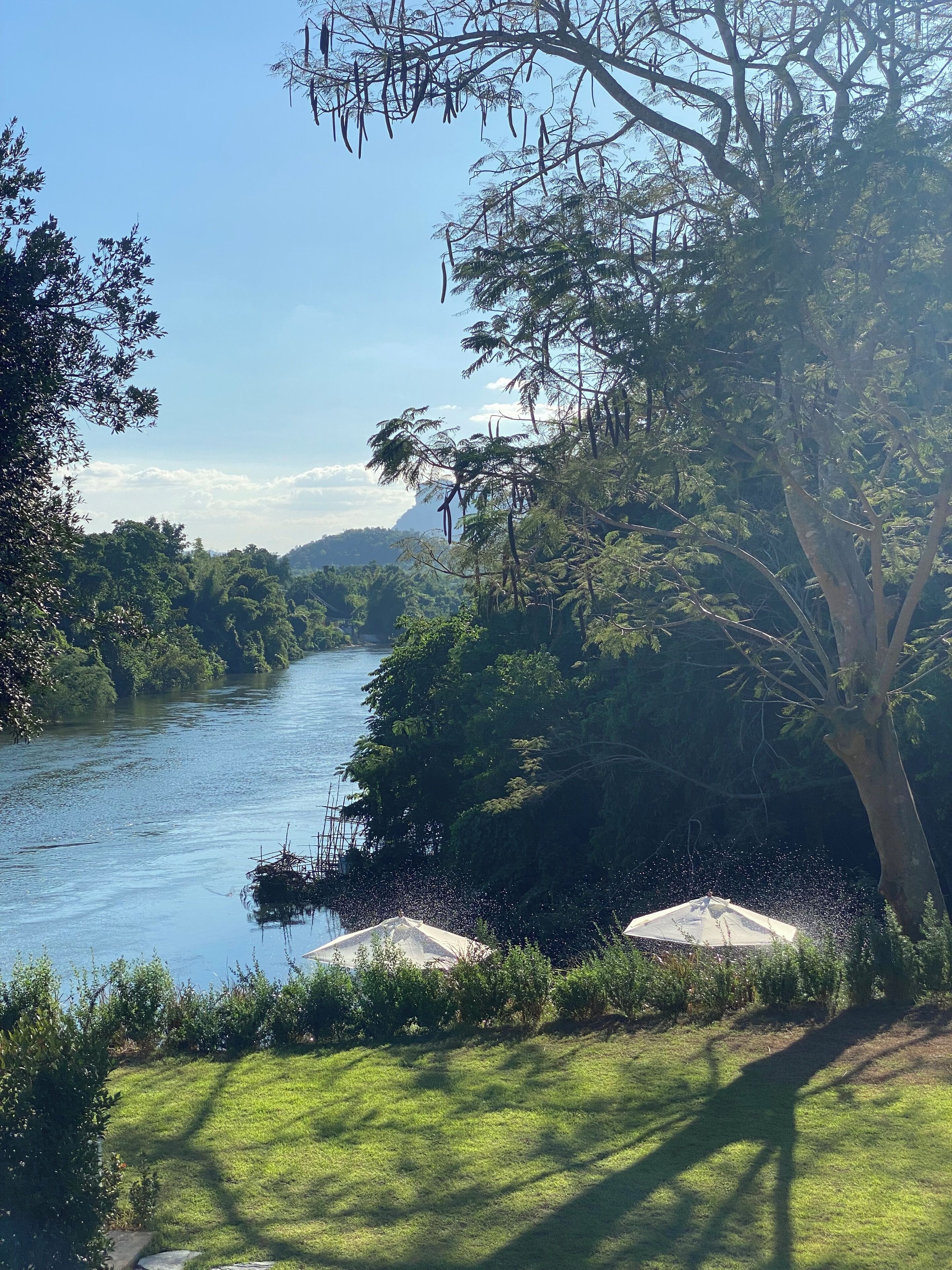 A river surrounded by lush greenery and trees.