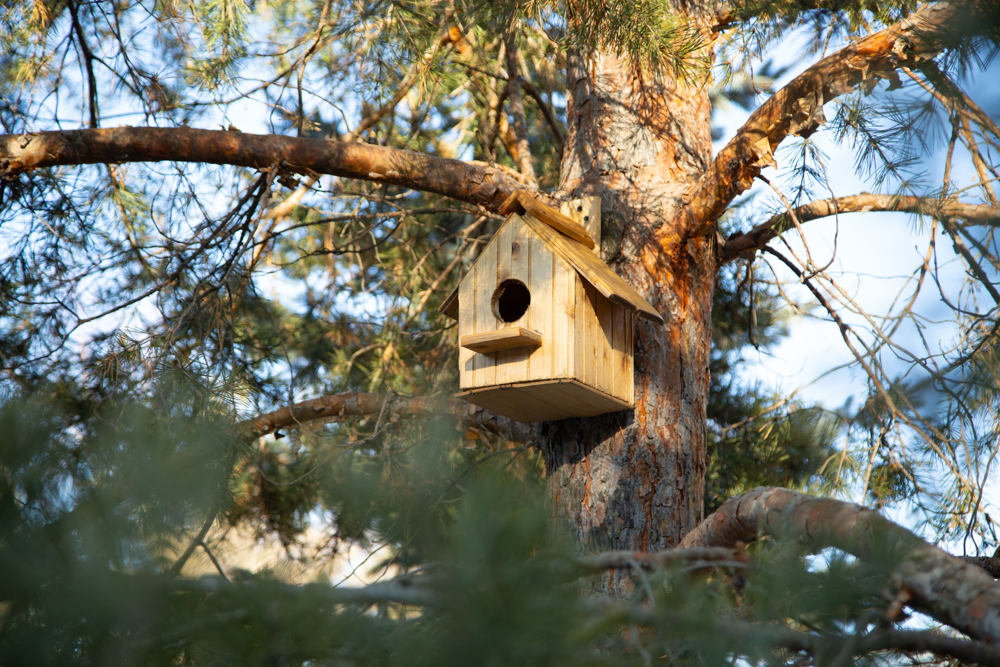 A wooden birdhouse attached to a tree.