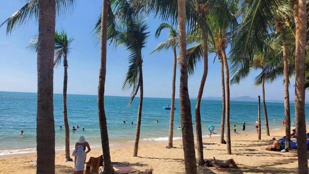 A beach with palm trees, people swimming and sunbathing, and a clear blue sky.