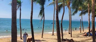 Matcha House Jomtien Pattaya