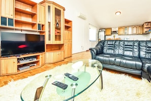 Flat-screen TV