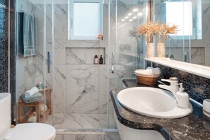Shower, hair dryer, towels