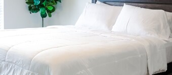 Trinity Townhome #B in the heart of Hobbs