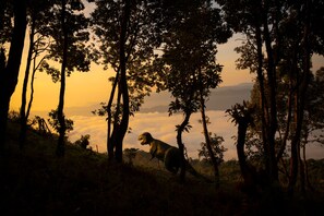 A dinosaur in a forest at sunset.