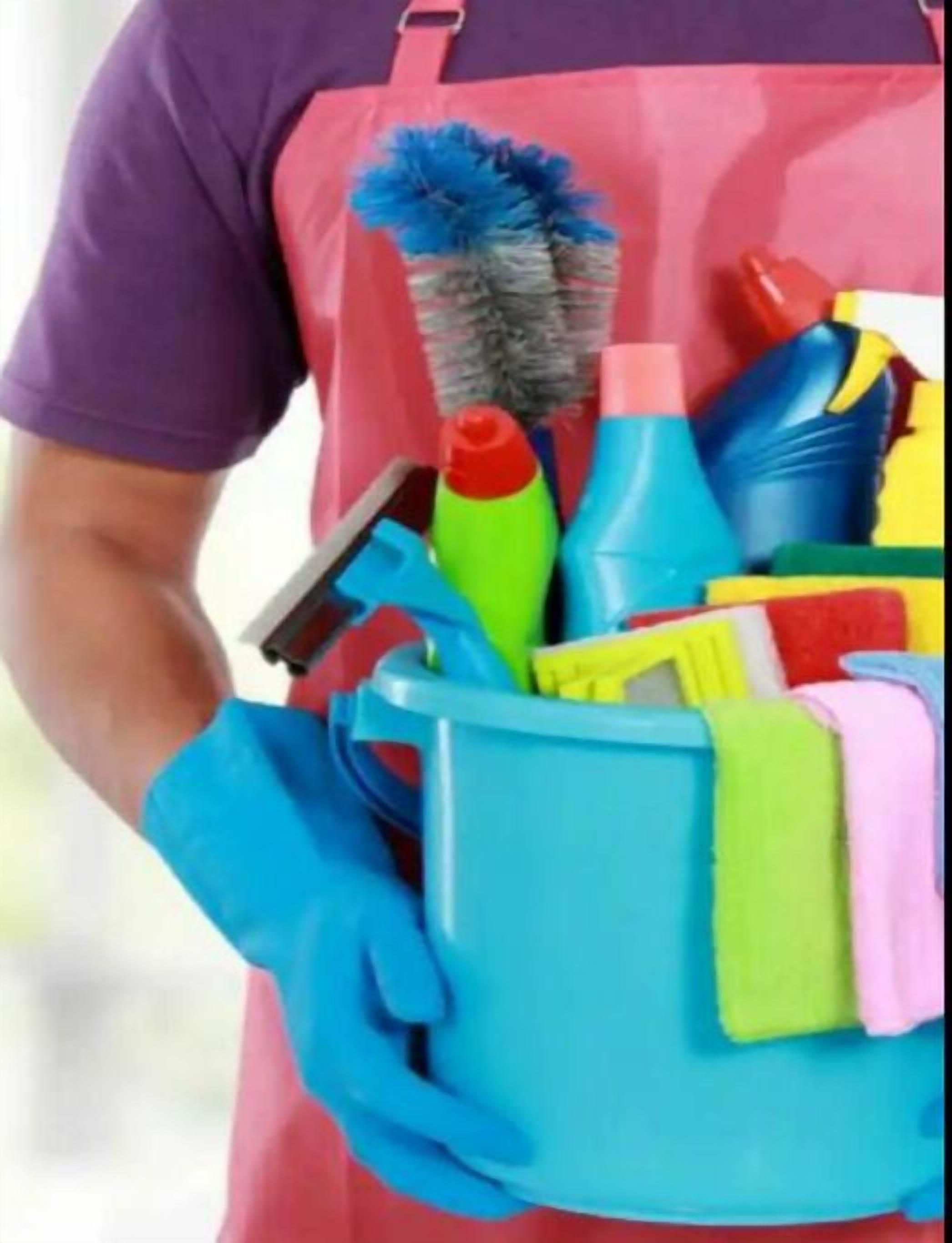 A person holding a cleaning bucket with various cleaning supplies.