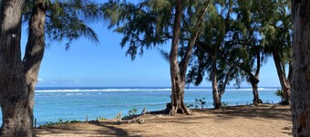 Le Repaire de la Tortue, Appartement Climatisé Avec Piscine et le Lagon à 250m