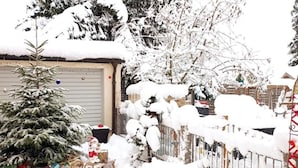 Ein verschneiter Außenbereich mit Garage, kleinem Weihnachtsbaum und Zaun.