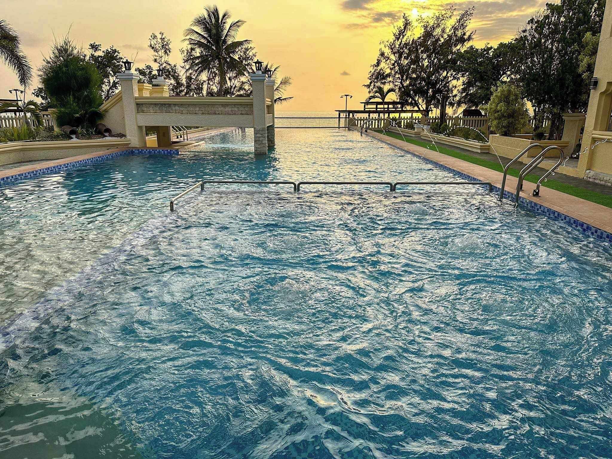 Una piscina con borde de piedra y una palmera al fondo.