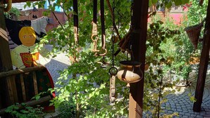 Uma área de jardim com pérgola de madeira, vasos de plantas e cestos suspensos.
