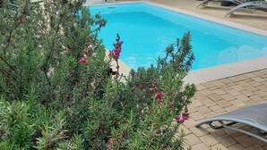 Piscina rodeada por vegetação, um deque de madeira e uma área de estar coberta.