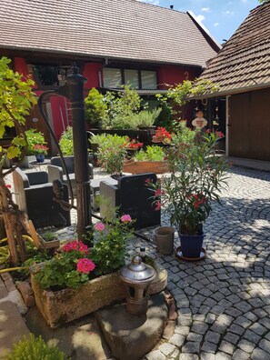 Property grounds - Gite de la cour Pavée (Olwisheim)