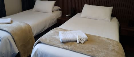 Chambre Double ou avec lits jumeaux, 1 lit une place