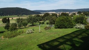 Paisaje rural con colinas ondulantes, diversidad de árboles y cielo despejado.