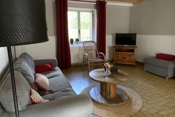 Smart TV, lareira, livros