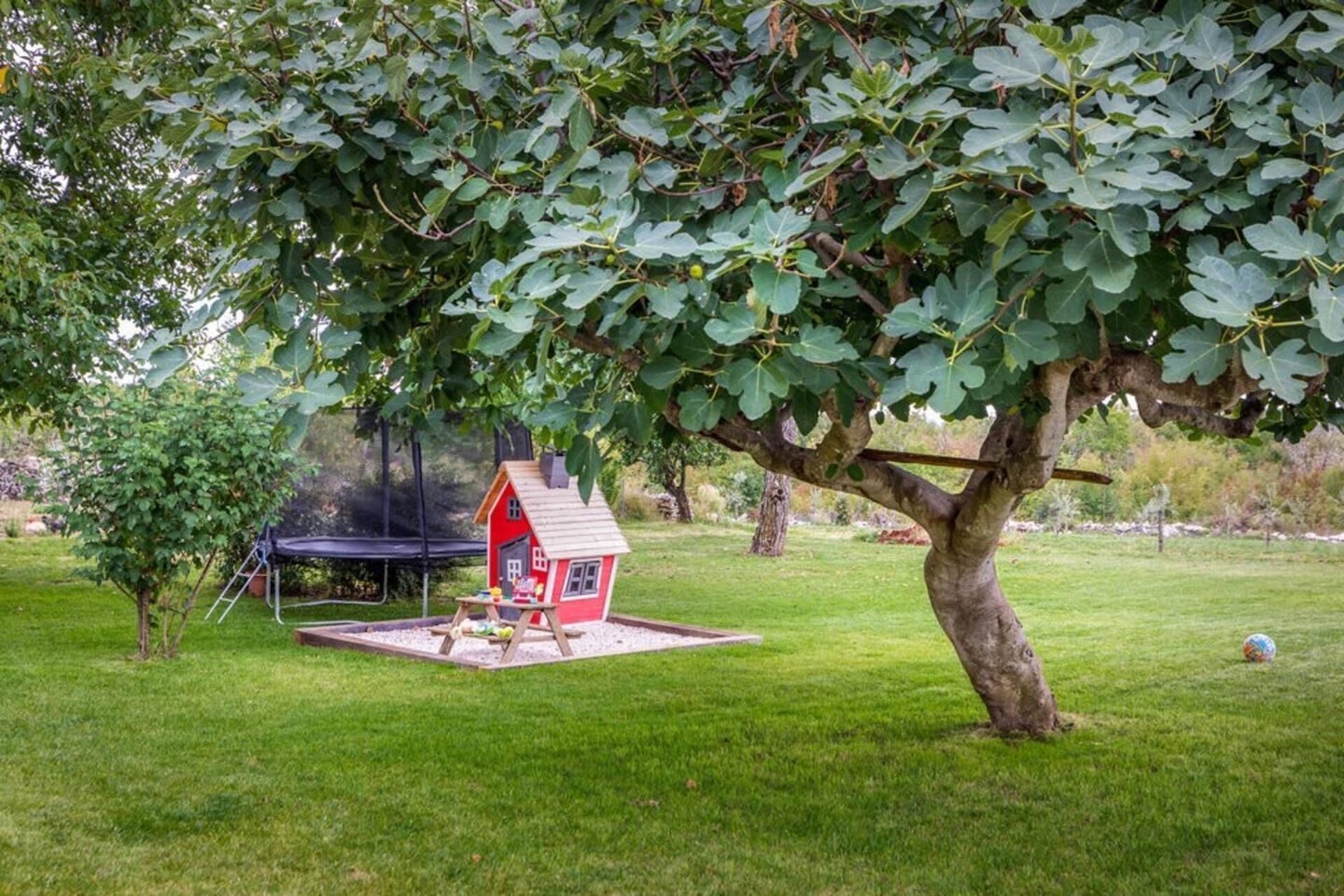 Ein rotes Haus mit einem kleinen Garten, einer Schaukel und einem Baum mit breiten Blättern.