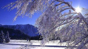 Paisaje nevado con un árbol cubierto de nieve en primer plano y una cadena montañosa al fondo.