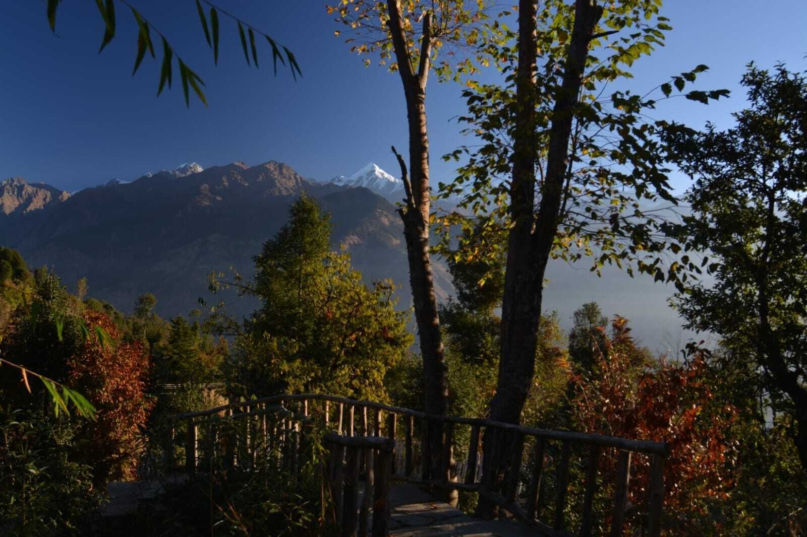 Un escalier en bois qui monte une colline, entouré d’arbres et avec une chaîne de montagnes en arrière-plan.